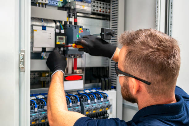 Best Licensed Electrician  in Lake Crystal, MN