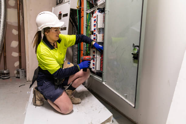 Best Electric Panel Repair  in Lake Crystal, MN