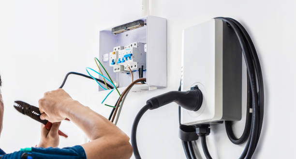 Best Home Electrical Repair  in Lake Crystal, MN
