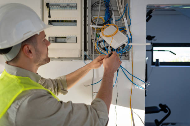 Best Electrical Upgrades for Homes  in Lake Crystal, MN